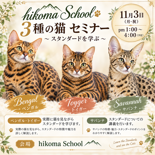 IMG_101104.PNG